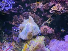 -欢乐海岸海洋奇梦馆
