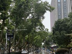 -行者书屋大堂吧 ·下午茶(南京圣和府邸酒店)