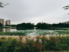 -新江湾城公园