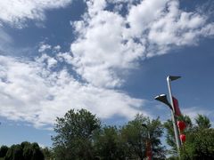 -苏氏牛肉面(北京南路店)