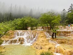 -黄龙山原始森林景区