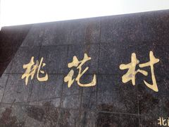 -南汇桃花村
