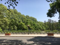 -武汉大学-樱园