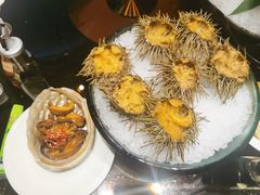 海胆-半岛翡丽海鲜自助餐厅(观风亭店)