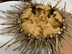 生海胆-海胆小馆(东北水饺·春柳店)