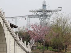 -金卉庄园