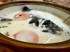 -全乐鱼馆·淳牌有机鱼直营店