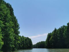 -上海海湾国家森林公园