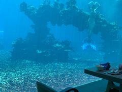-海棠湾洲际-涛·海底餐厅·美人鱼·自助餐·海底隧道