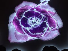 -新世界大丸百货