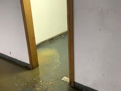 -天津津利华酒店