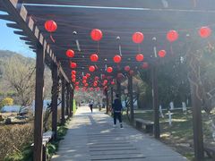 -白马涧龙池景区