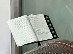 -爱乐蒙艺术·古筝 钢琴 声乐(科华校区)