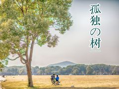 -山明水秀大饭店