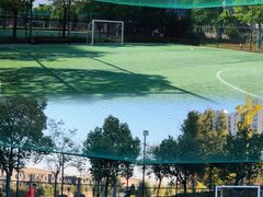 -小赛虎少儿足球培训(南翔校区)