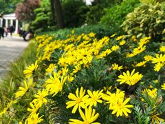 -静安公园(静安寺街道)