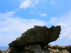 龙坑生态保护区-龙坑生态保护区