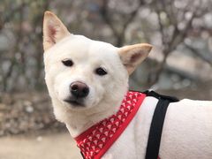 -何适山庄 ·可团建(水长城P2停车场店)