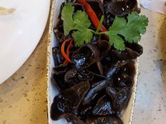 爽口新疆黑木耳-点都德(北京路贰店)