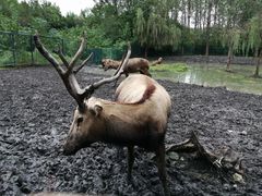 -溱湖国家湿地公园