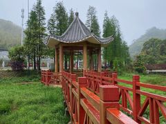-广州市石门国家森林公园