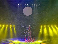 -灵玲国际马戏城