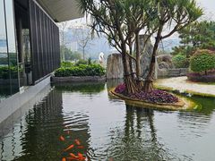 -南宁荔园维景国际大酒店·荔园中餐厅