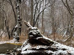 -叠溪松坪沟景区