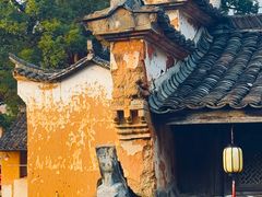 -杨家堂村