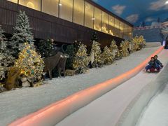 -世界之窗阿尔卑斯冰雪世界
