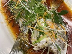 蒸立鱼-轩记海鲜餐厅·四十五年老字号·经典粤菜(西区彩虹店)