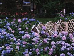 -常州古运河南大街文化旅游区-人民公园