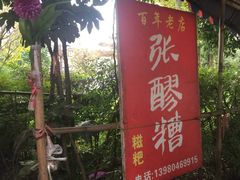 -张醪糟