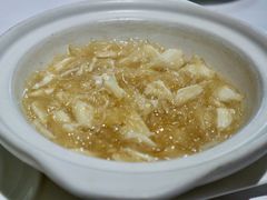 -新同乐鱼翅酒家(美丽华店)