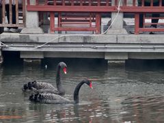 -济南大明湖景区