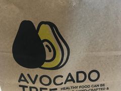 -油梨树AVOCADO TREE(嘉里中心店)