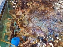 -青石桥市场北1-27号