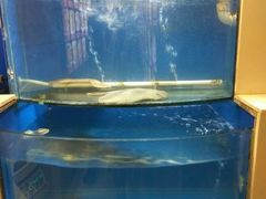 水产区-泰福成大酒店(泰来道店)