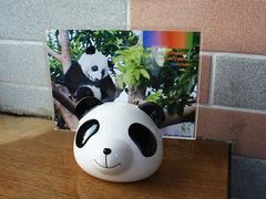 -熊猫屋(宽窄巷子景区店)