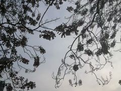-红星桥(地铁站)