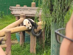 -沈阳森林动物园