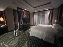 -常州武进九洲喜来登酒店