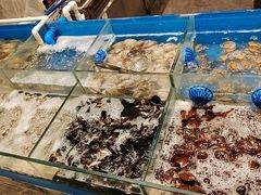 -福州西湖大酒店·怡湖咖啡厅