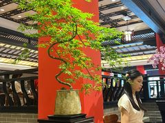 -龙悦湾酒家·八阵鱼生·渔人码头店