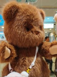 -TeddyTales莉娜熊(国贸店)