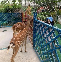 -萌宠亲子动物乐园(槐房万达店)