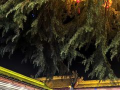 -武当山风景区