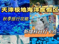 -海合安天津极地海洋公园
