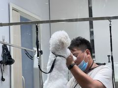 -佐罗家宠物馆·猫文化馆(紫霞路店)