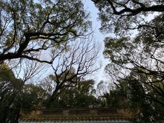 -普陀山风景区-佛顶山